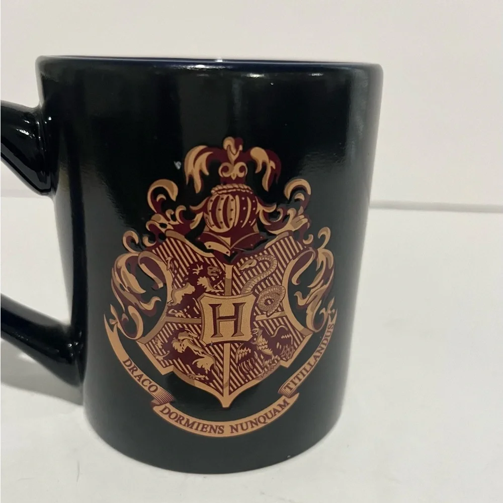 Harry Potter Wizarding World Draco Dormiens Nunquam Titillandus Collectible Mug